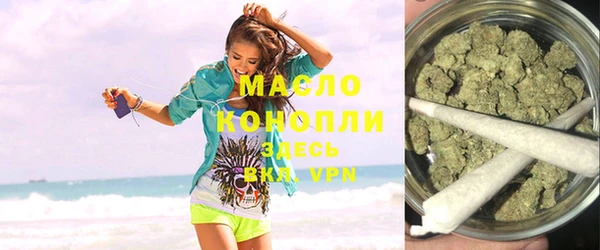 индика Абаза
