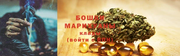 индика Абаза