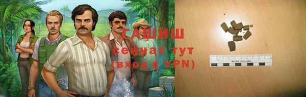 индика Абаза