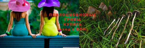 индика Абаза