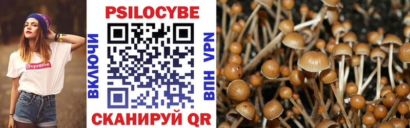 купить  цена  Яранск  Псилоцибиновые грибы MAGIC MUSHROOMS 